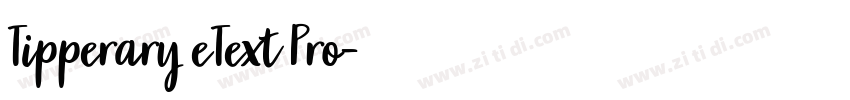 Tipperary eText Pro字体转换